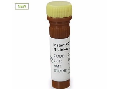 InstantPC 标记的多聚糖