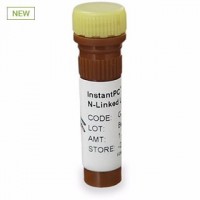 InstantPC 标记的多聚糖
