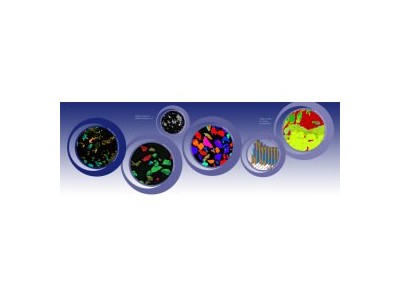 牛津仪器SEM专用颗粒物分析系统 — AZtecFeature图3