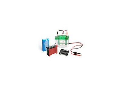 伯乐Mini Trans-Blot Electrophoret