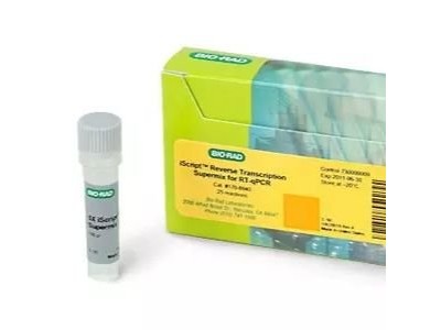 伯乐用于 RT-qPCR 的 iScript™ 逆