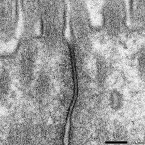 static/uploadfiles/20170417/4e5fef70-2004-4b73-b4e6-92b46e02e450.jpg p77_em05500tgp_11.jpg