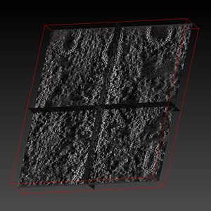 Tight junctionのスライス像