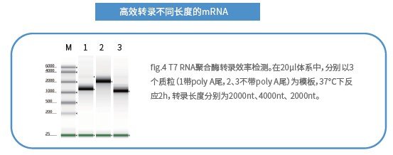 1674841333811936.jpg 005.jpg