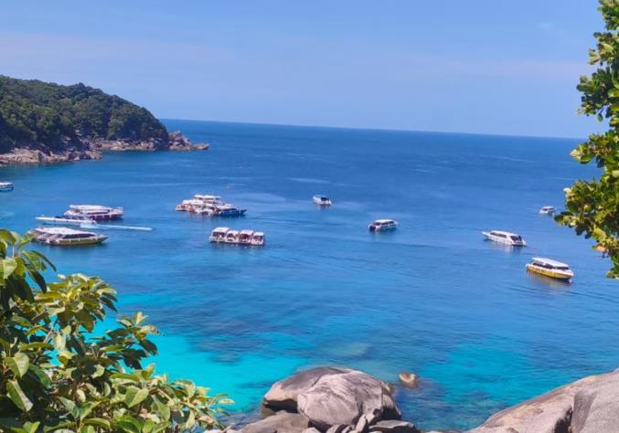 海水样中K、Ca、Li、Na、Mg等元素含量的测定