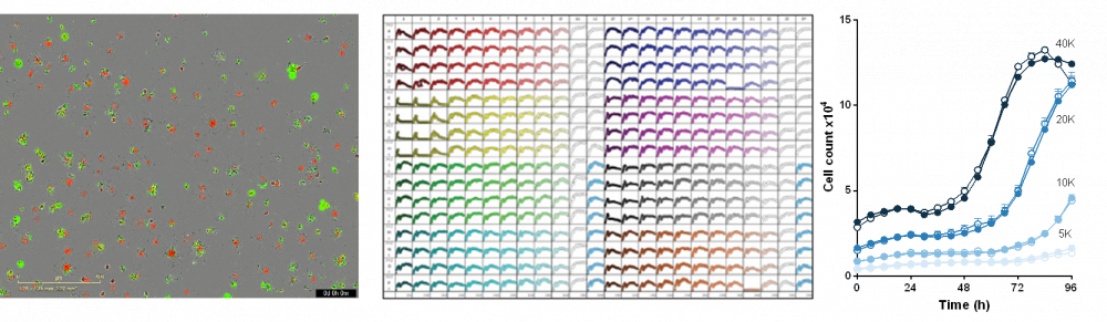 1585029307331406.png 图片 7.png