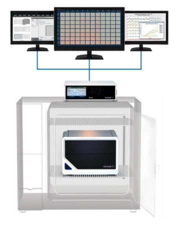 1585029259831080.png 图片 16.png