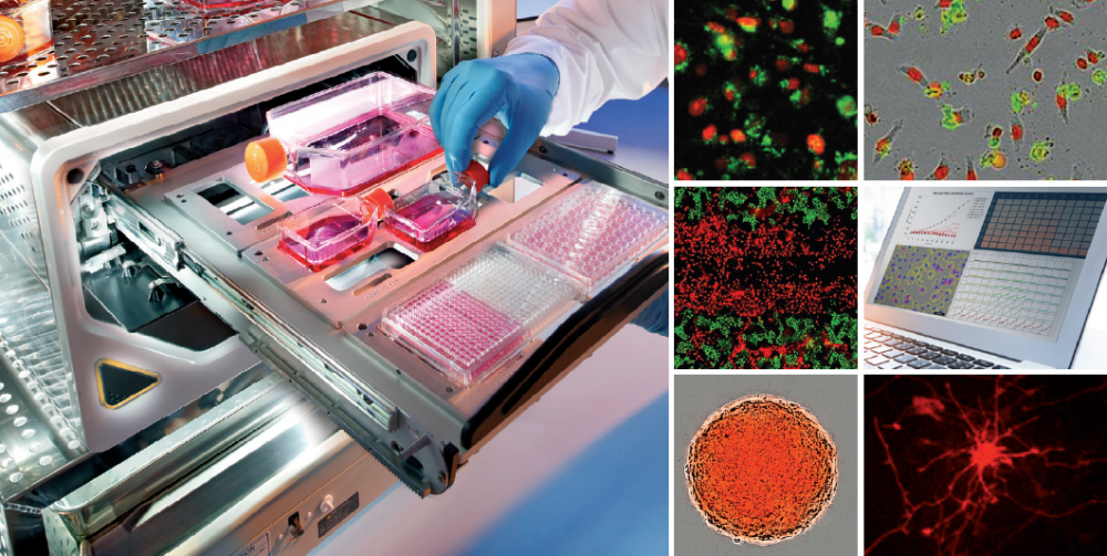 1585029174706765.png 图片 1.png