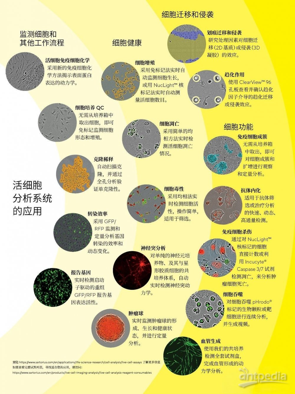 1664717572555935.jpg 1664717572555935.jpg