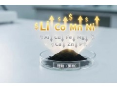 锂粉（黑粉）中Al, Cu, Fe, Mg, Ca, Co, Li, Mn, Ni, Zn, 