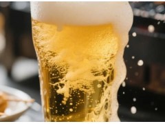 啤酒酿造发酵阶段双乙酰的测定：蒸汽蒸馏与分光光度法分析