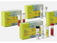 Bio-Rad伯乐推出高敏多靶点检测试剂盒，助力非小细胞肺癌