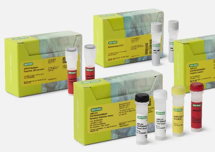 突变检测试剂盒（科研用）