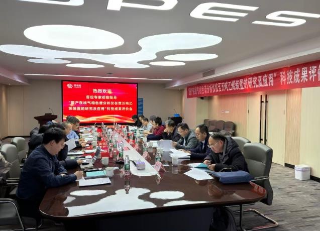 国产在线气相色谱分析仪 国产在线气相色谱分析仪