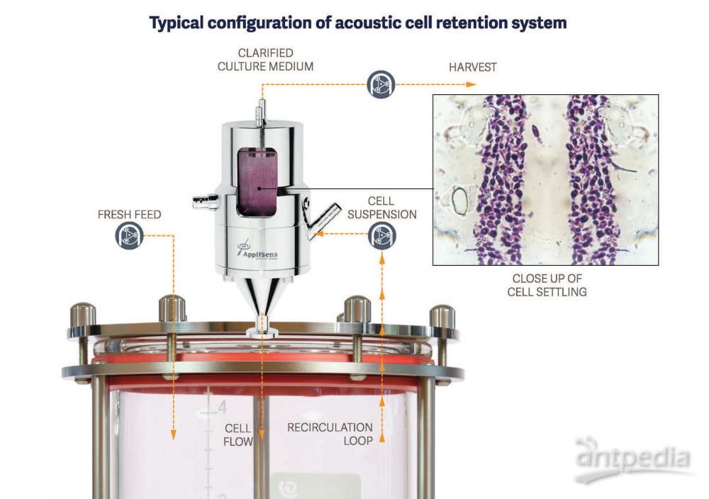 1768455633990777.jpg 333.jpg