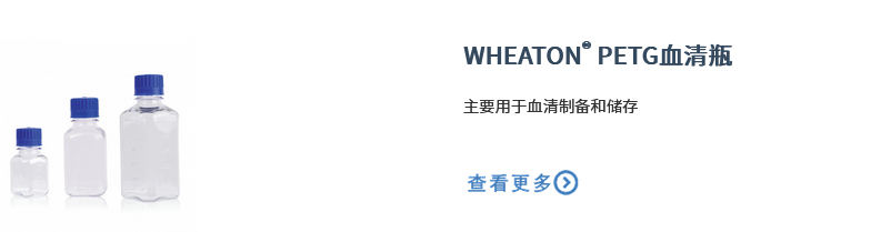 1768465848246672.png image.png