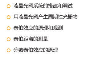 SGO-18 泰伯效应实验系统 SGO-18 泰伯效应实验系统