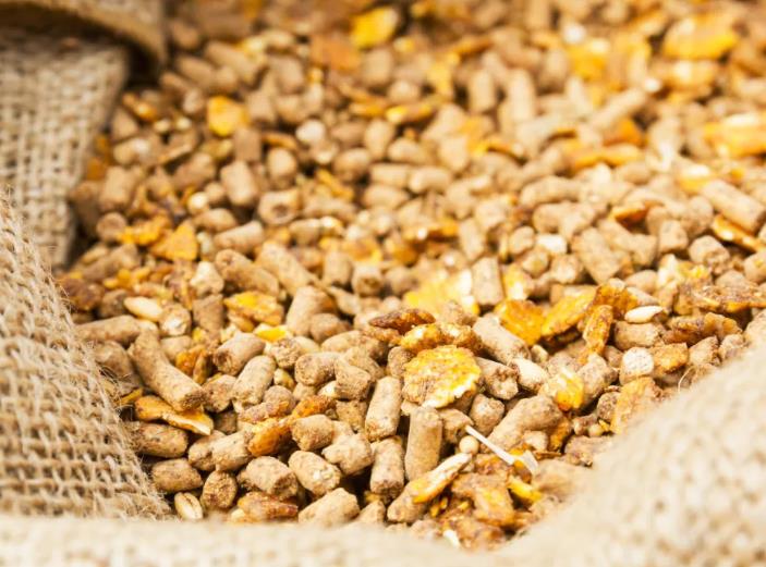 饲料中蛋氨酸羟基类似物的含量测定