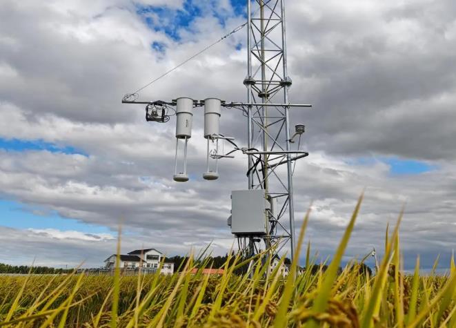 大气氨激光开路分析仪