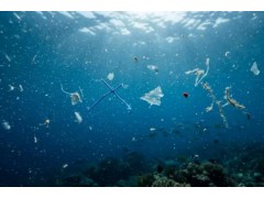 饮用水中微塑料含量的测定 气相色谱-质谱法