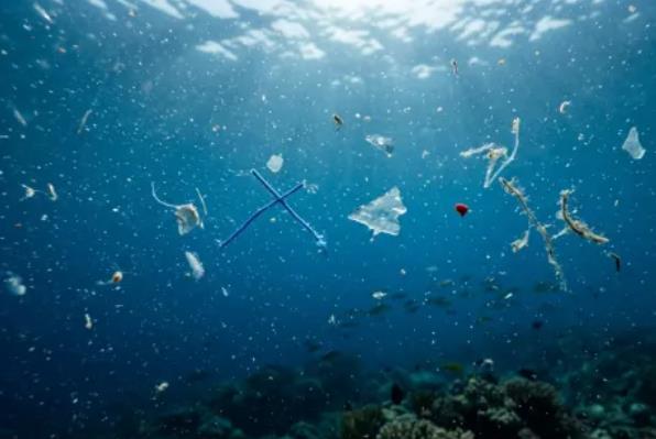 饮用水中微塑料含量的测定 饮用水中微塑料含量的测定