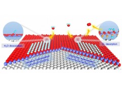 中科院大连化物所揭示水蒸气中氧化钴纳米结构的双重羟基化