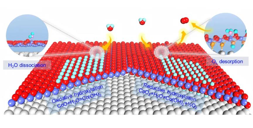 氧化钴纳米结构