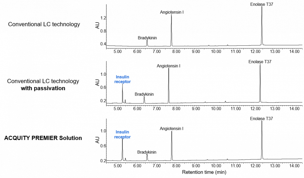 使用传统LC技术或ACQUITY Premier系统分析胰岛素受体（序列为TRDIpYETDpYYRK的双磷酸化肽）。相较于传统LC技术，ACQUITY Premier系统可减少对胰岛素受体肽的吸附 
