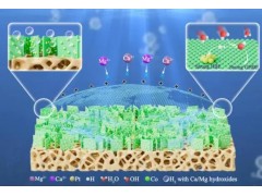 大连化物所科学家在直接海水电解制氢阴极材料领域取得新进