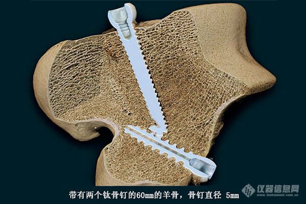 12797663_生命科学600.jpg