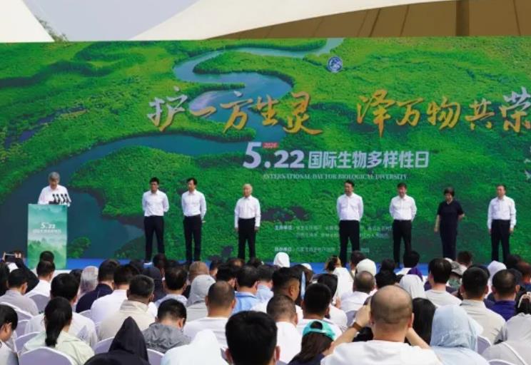 先河环保