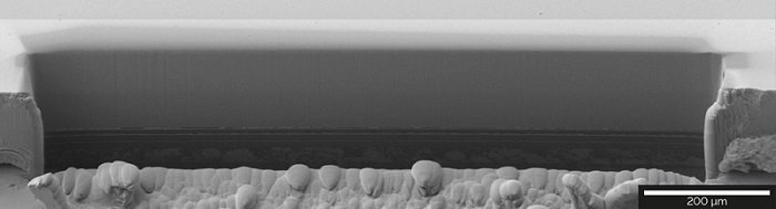 Overview of a 1086 μm-wide cross-section in an OLED display, FoV 1.26 mm..jpg