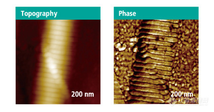 smartscan-thum.jpg