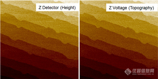 Z-detector-img-nx2.jpg