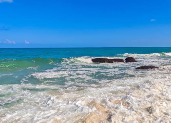 海水中硝酸盐含量的测定 海水中硝酸盐含量的测定