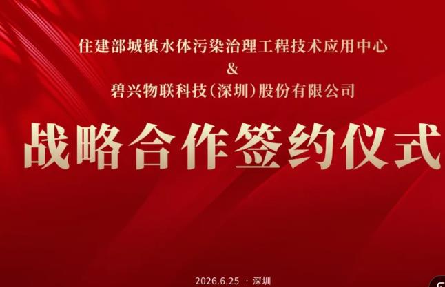 碧兴物联
