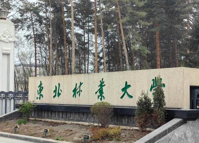 东北林业大学 东北林业大学