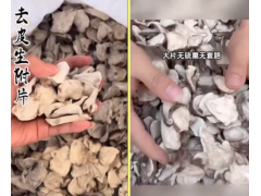 中药桂骨痛片中乌头双酯型生物碱的测定 高效液相色谱仪法