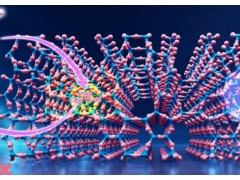 大连化物所分子筛催化羰基化新突破：无金属无配体制异丁酸