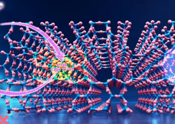 分子筛催化羰基化 分子筛催化羰基化